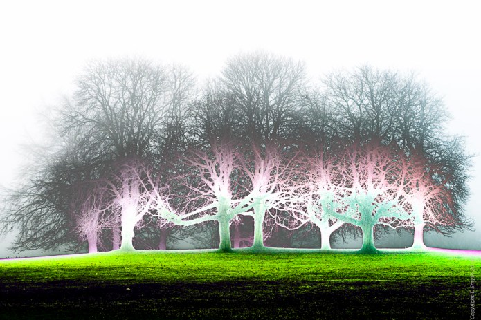 a1_20161230_untitleddsc0549120161230_6000-x-4000_lens