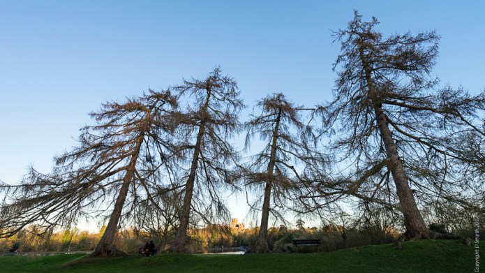 a1_20170102_untitleddsc0555920170102_6000-x-4000_fe-16-35mm-f4-za-oss