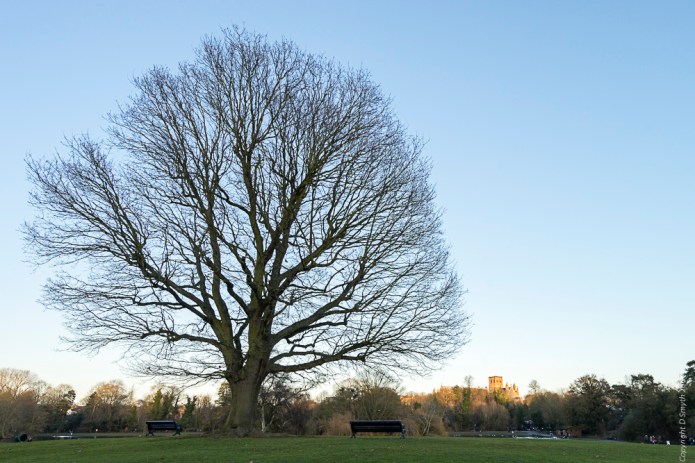 a1_20170102_untitleddsc0557320170102_6000-x-4000_fe-16-35mm-f4-za-oss-3