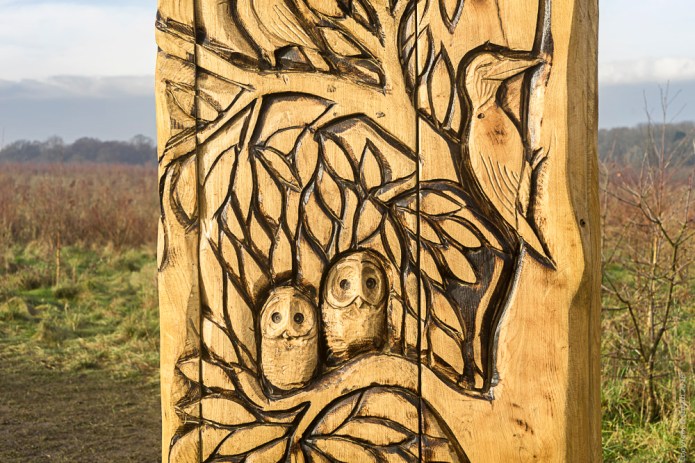 a1_20170106_stalbansdsc0559420170106_6000-x-4000_fe-24-70mm-f4-za-oss-2