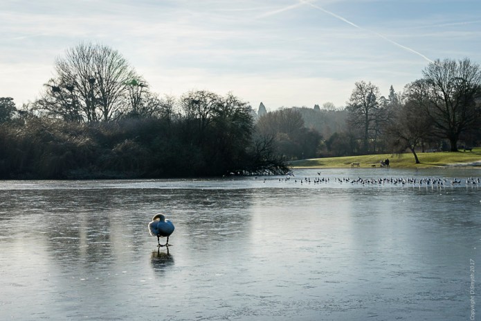 a1_20170118_stalbans201701182-15_6000-x-4000_fe-24-70mm-f4-za-oss-2