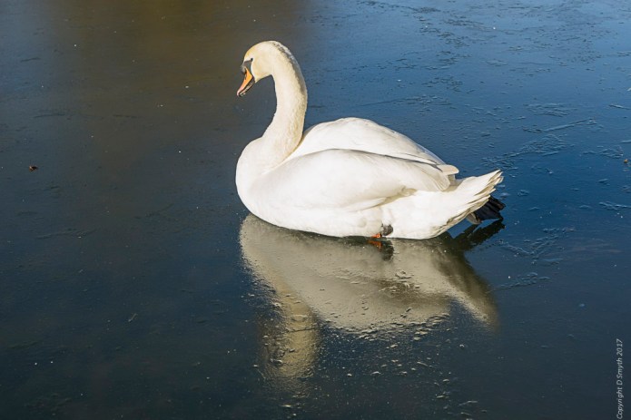 a1_20170118_stalbans201701182-20_6000-x-4000_fe-24-70mm-f4-za-oss-2