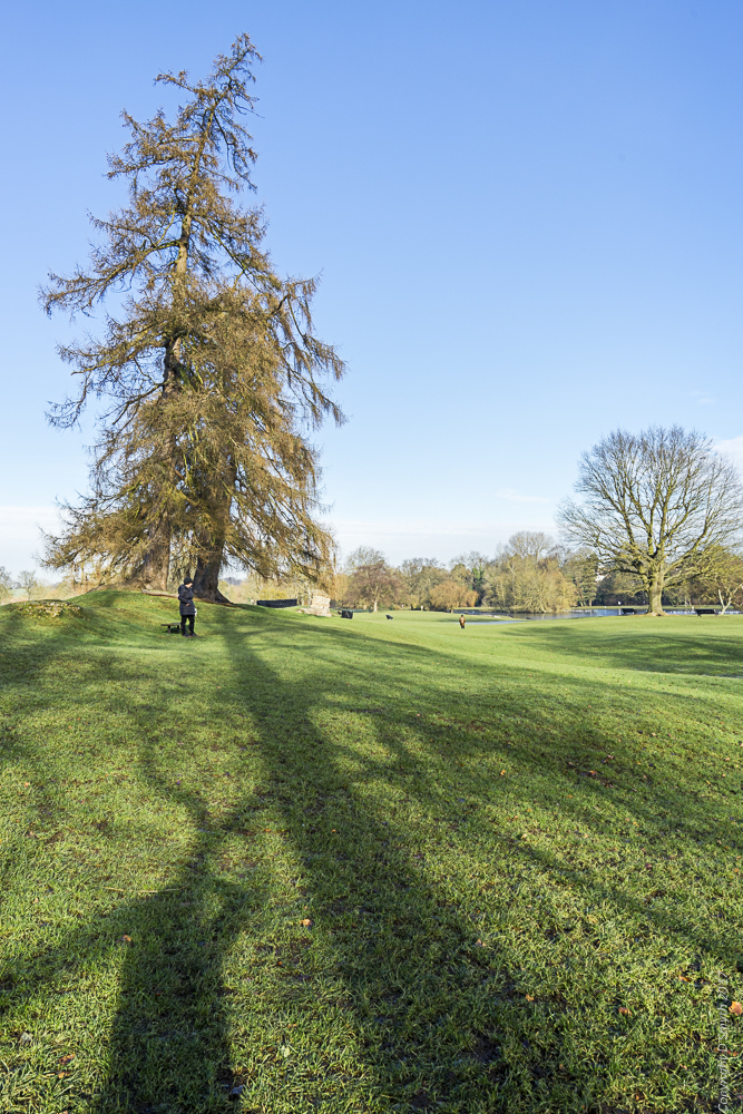 a1_20170118_stalbans201701182-31_4000-x-6000_fe-24-70mm-f4-za-oss-2