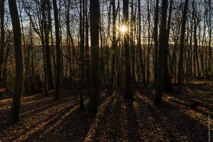 a1_20170120_hughendendsc0588520170120_6000-x-4000_fe-24-70mm-f4-za-oss