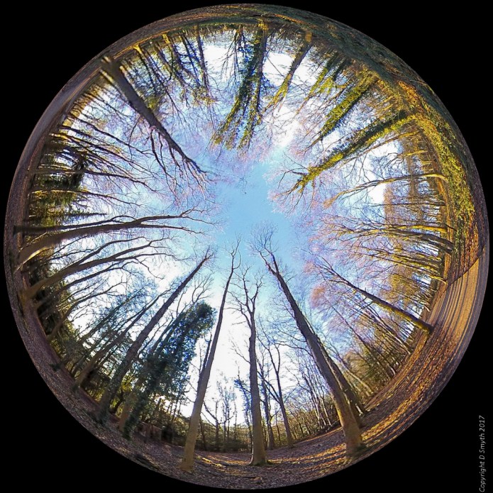 a1_20170120_hughendenimg_2281-220170120_1440-x-2561_