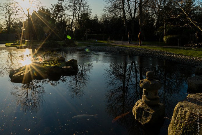 a1_20170121_LondonDSC0593620170121_6000 x 4000_FE 24-70mm F4 ZA OSS.jpg