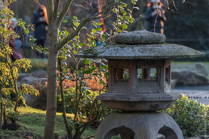 a1_20170121_londondsc0817320170121_7952-x-5304_fe-70-300mm-f4-5-5-6-g-oss