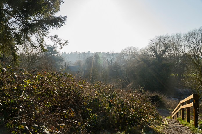 a1_20170122_AyotDSC0598020170122_6000 x 4000_FE 24-70mm F4 ZA OSS-2.jpg