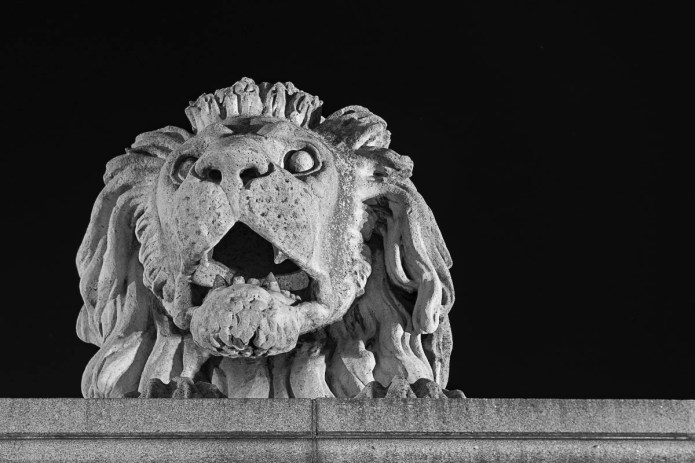 a1_20160604_20160604_budapest_28108647_6000-x-4000