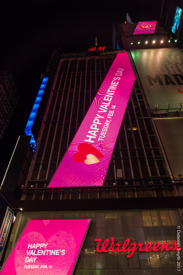 untitleddsc0692920170213-1