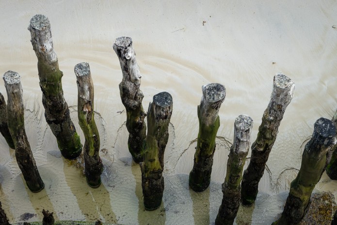 Brittany-2016091801691-1