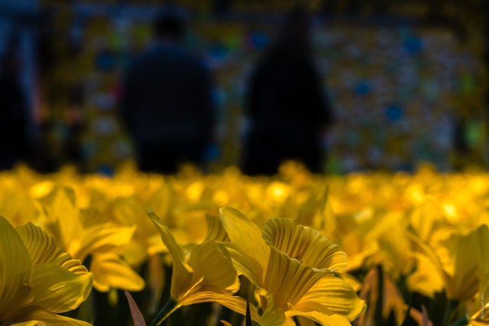 LondonDSC0003420170311-1