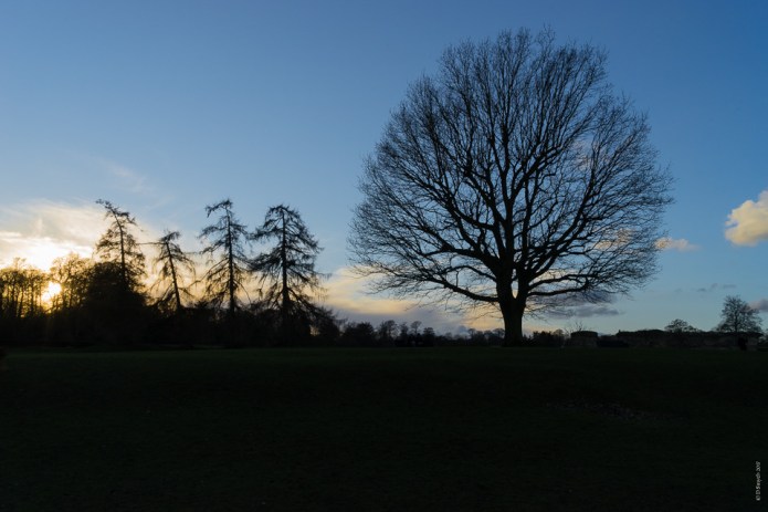 StAlbansDSC0645820170204-1