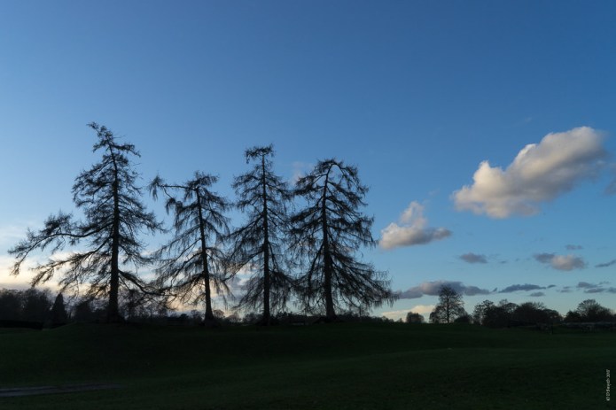 stalbansdsc0645920170204-1