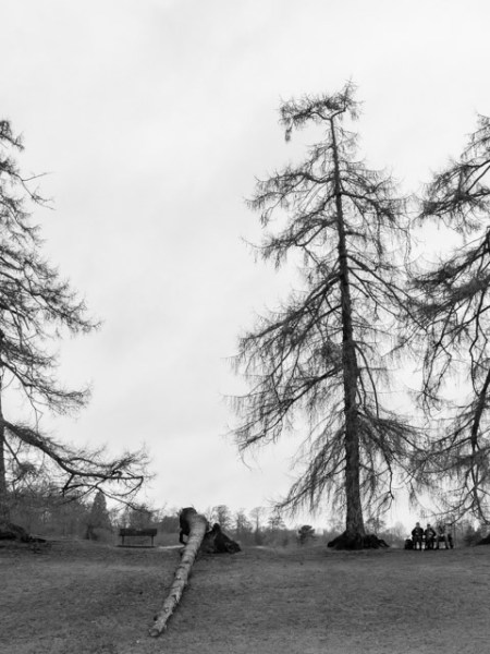 Storm Doris turned four into&nbsp;three
