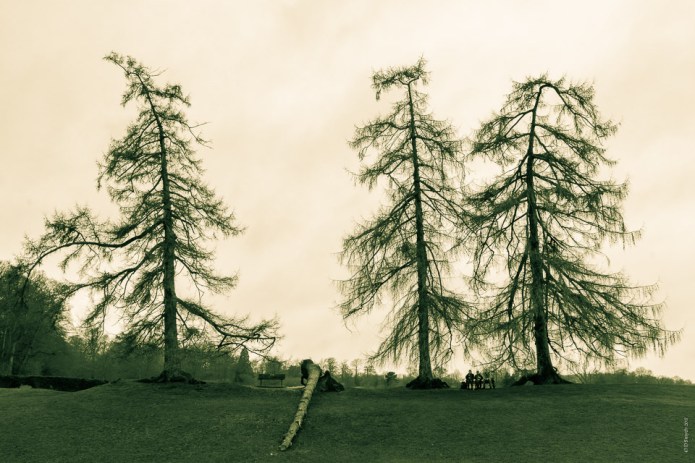 stalbansdsc0974920170303-9