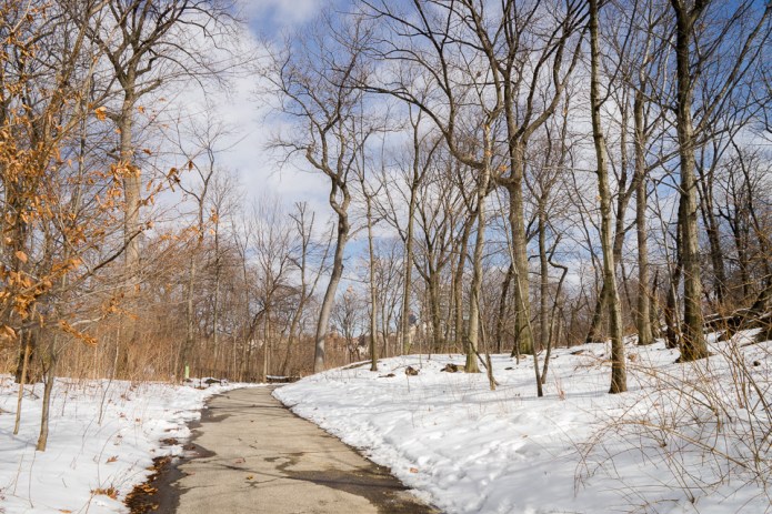 untitledDSC0696520170213-1