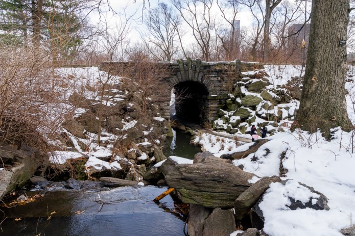 untitledDSC0697120170213-1