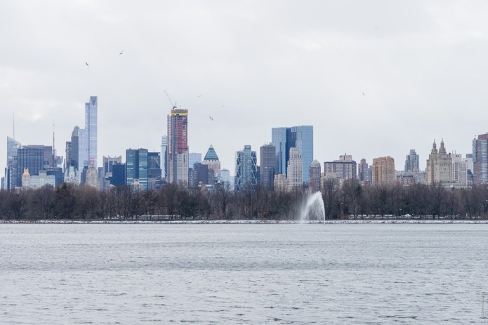 untitledDSC0698320170213-1