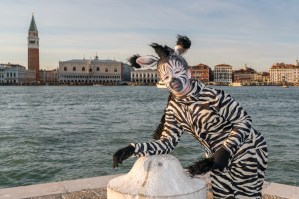 venicedsc0892920170225-1sq