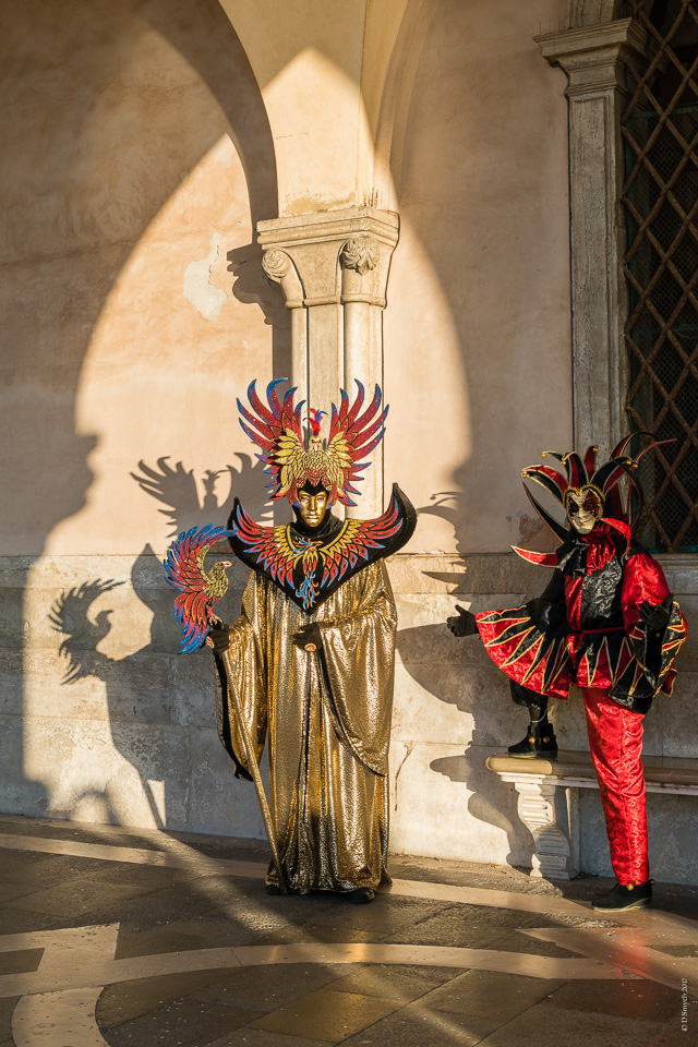 VeniceDSC0902220170226-1