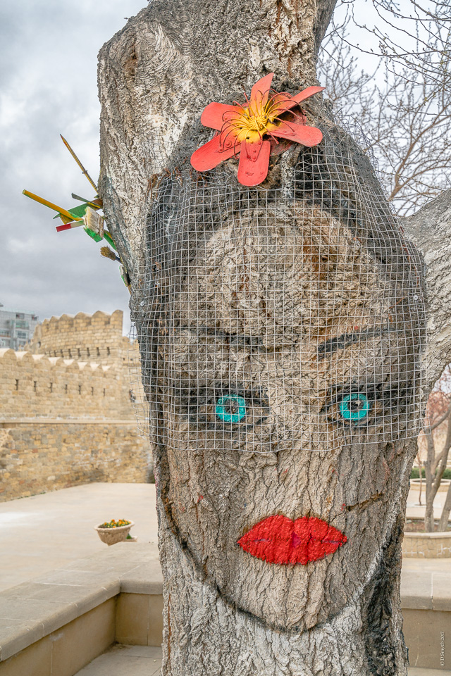 AzerbaijanDSC0106120170331-1