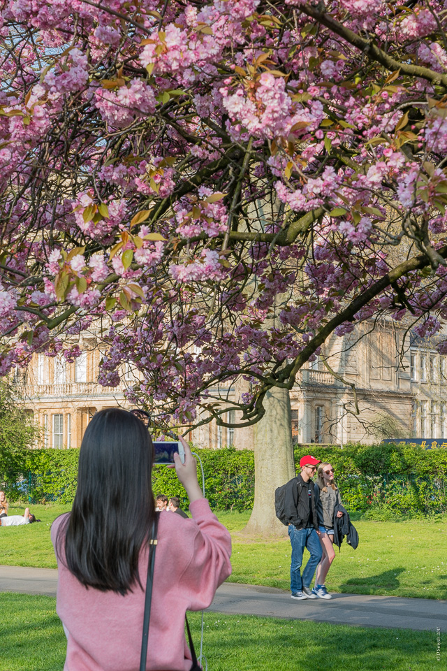 LondonDSC0124620170407-1