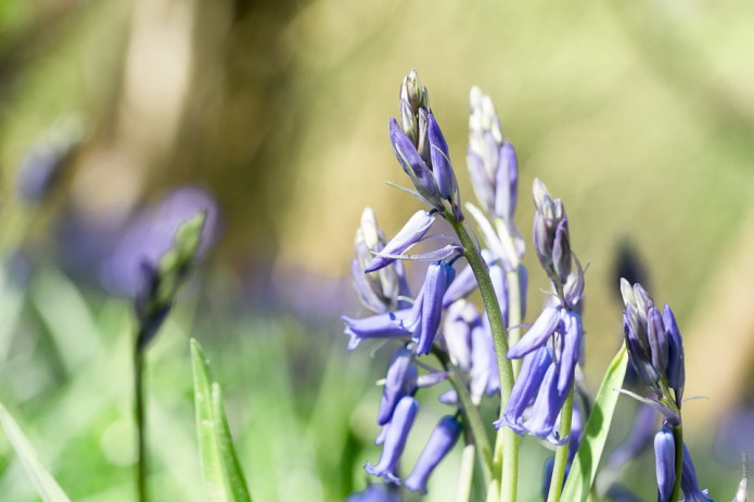 untitledDSC0078620170416-1