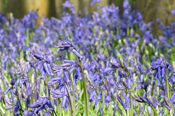 untitledDSC0079020170416-1-4