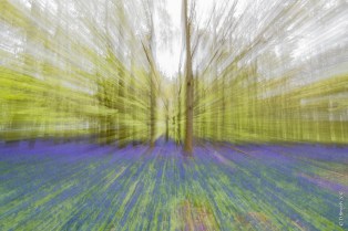 AshridgeDSC0205520170504-1-3