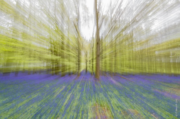 AshridgeDSC0205520170504-1-3