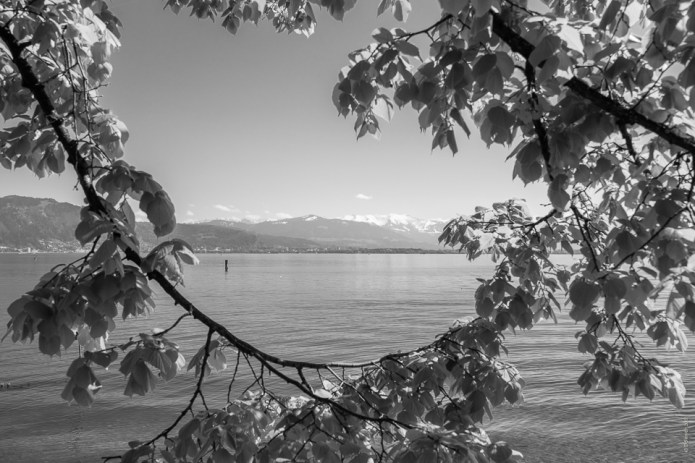 KonstanzDSC0169820170424-1-3