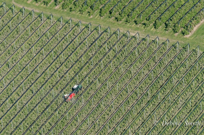 KonstanzDSC0208220170424-1