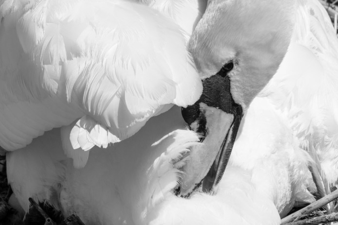 KonstanzDSC0210520170424-1-3