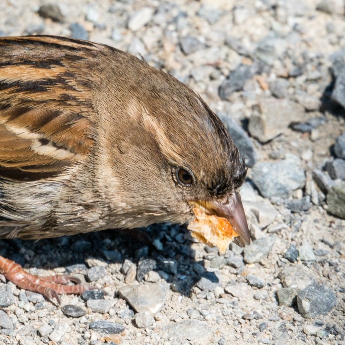 KonstanzDSC0213020170424-1-2