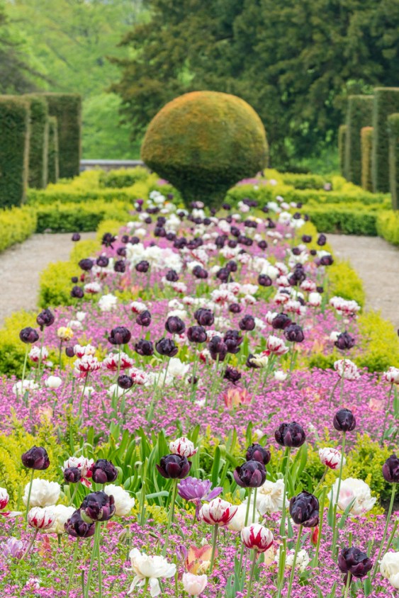 untitledDSC0231020170506-1-3