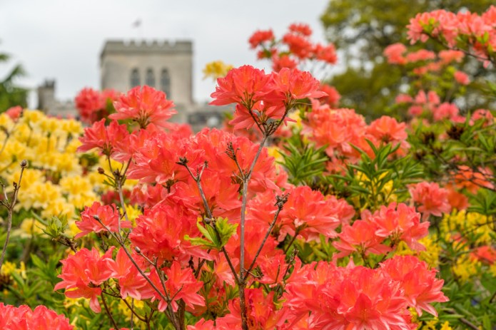 untitledDSC0239220170506-1