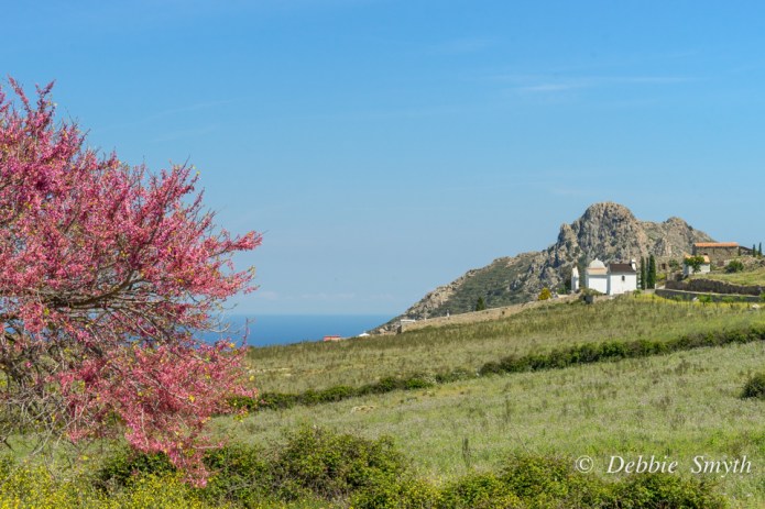 20160504_Corsica_11803454-1