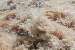 BordeauxDSC0310220170527-1