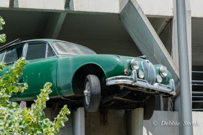 BordeauxDSC0321120170528-1