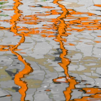 LondonDSC0291120170523-1-2