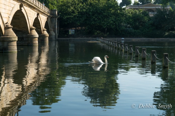 LondonDSC0375220170615-1