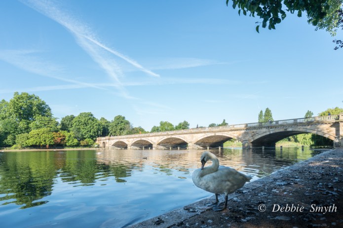 LondonDSC0566420170614-1