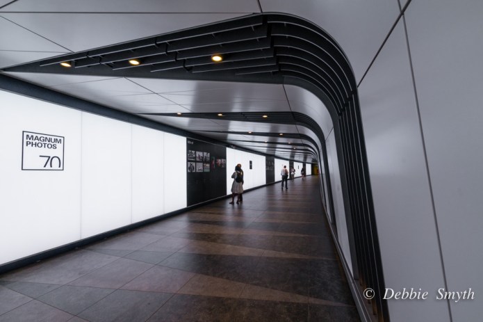 untitledDSC0321120170525-1