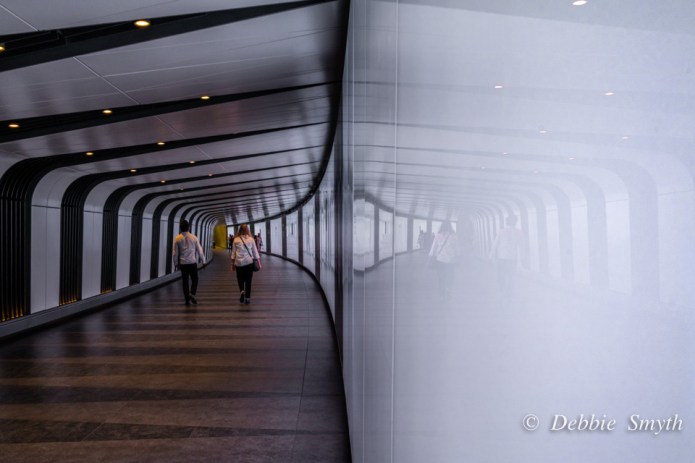 untitledDSC0321420170525-1