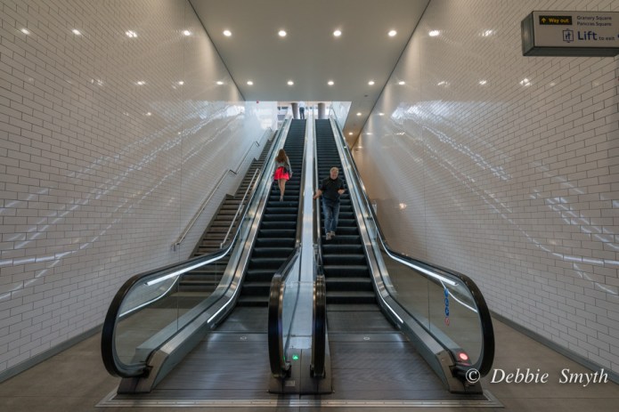 untitledDSC0323320170525-1bw