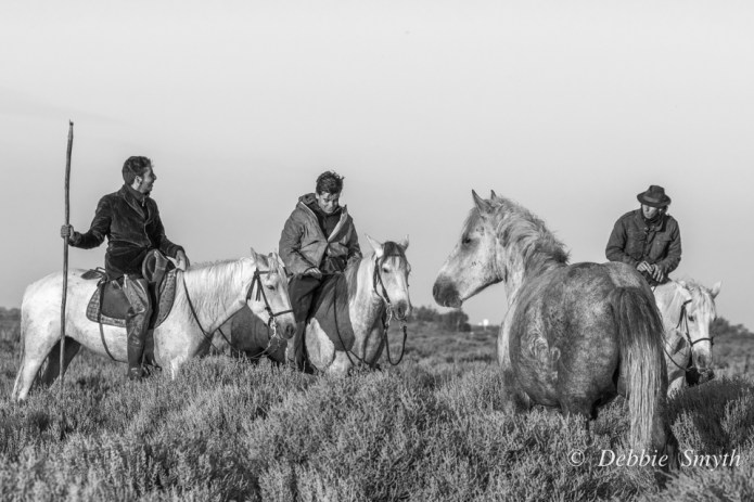 Camargue-2016100803502-1.jpg