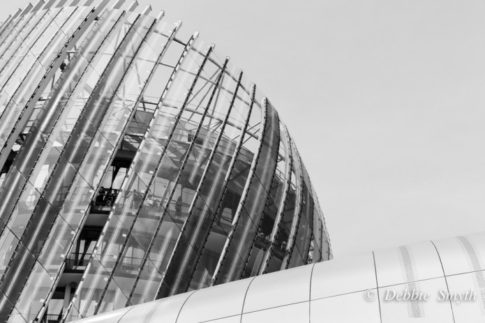 untitled-0311320170527bw-2