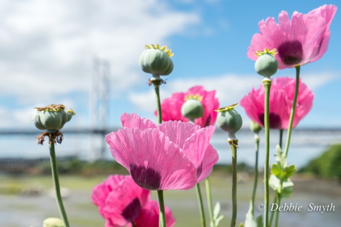 untitled-0419120170708-2