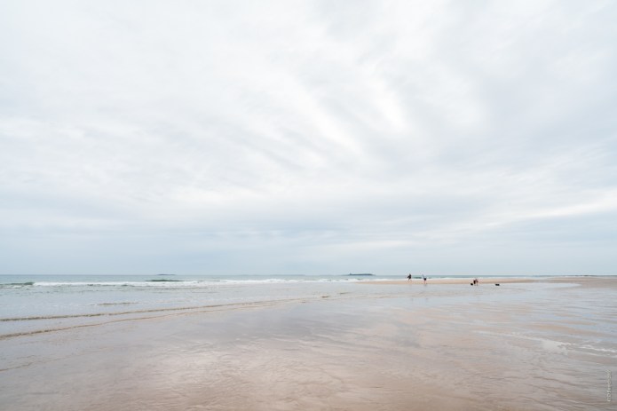BamburghHolyIslandDSC0707920170814-1-2